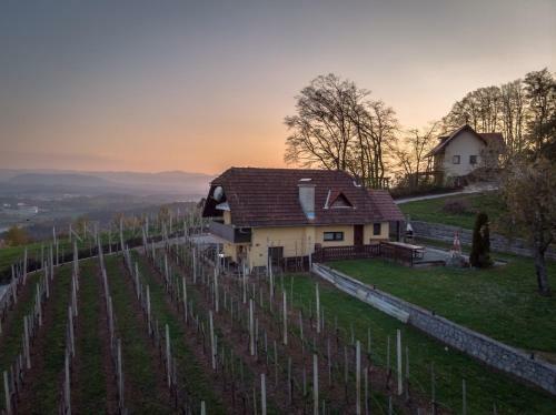 Apartamento Vineyard Cottage Ho?evar