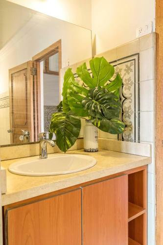 Hotel Casa Morales Cartagena By Soho