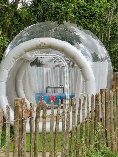 Glamping Groei