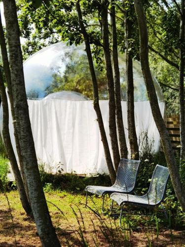 Glamping Groei