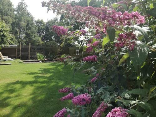 Glamping Groei
