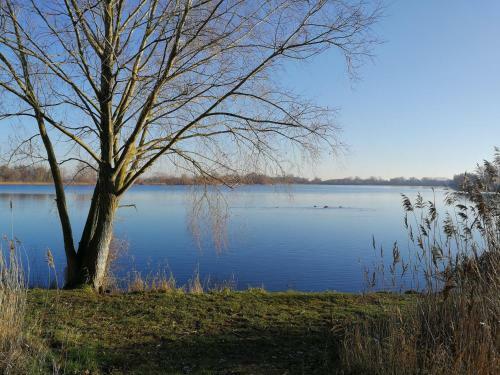Glamping Groei