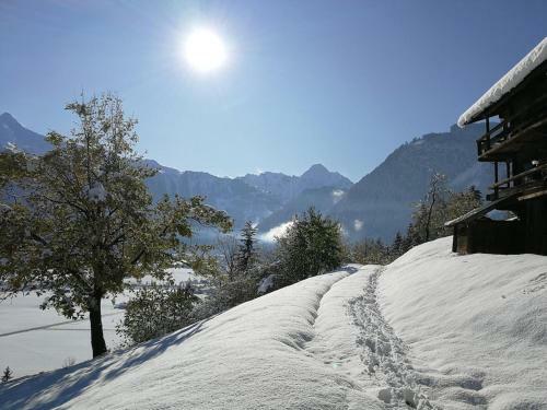 Apartamento Holiday Flat Daniela, Hippach Im Zillertal