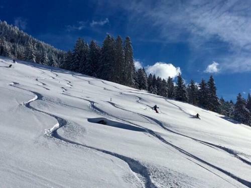 Apartamento Holiday Flat Daniela, Hippach Im Zillertal