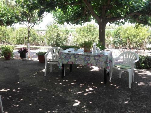 Country Cottage In Kardiakafti Peloponnese
