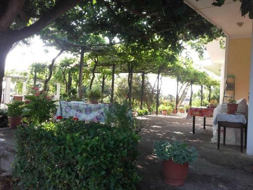 Country Cottage In Kardiakafti Peloponnese