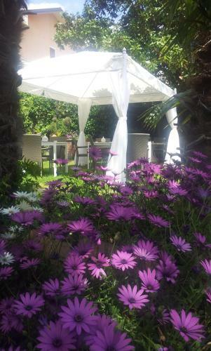 Bed & Breakfast Villa Carmen