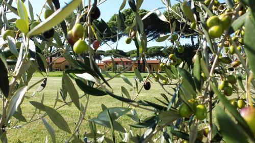 Apartamento La Fattoria Di Tirrenia