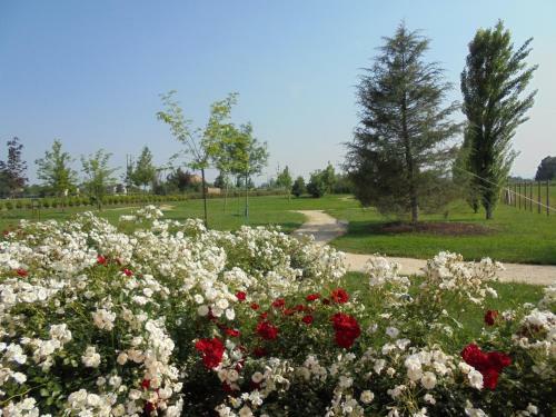 Agroturismo La Casa Di Campagna