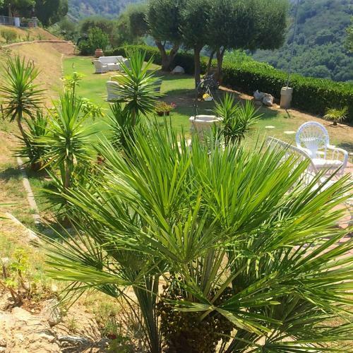 Apartamento Villa Del Conte
