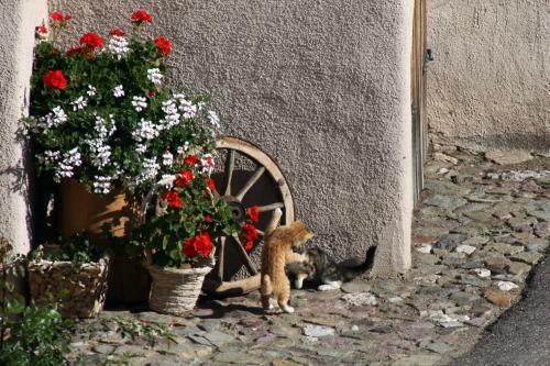 Agroturismo Zu Schgagul