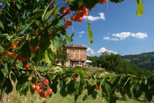 B&B Al Merlo Angelico