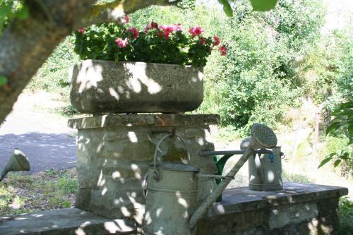 B&B Al Merlo Angelico