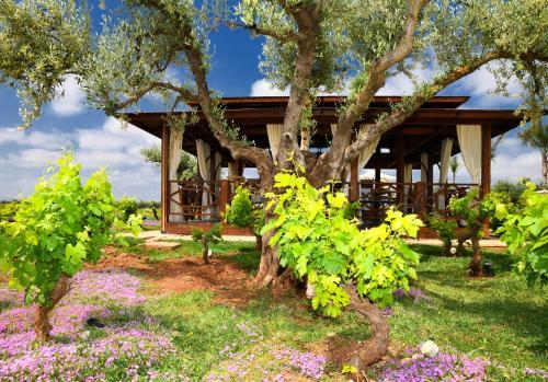 Hotel Ch�teau Roslane Boutique H�tel & Spa