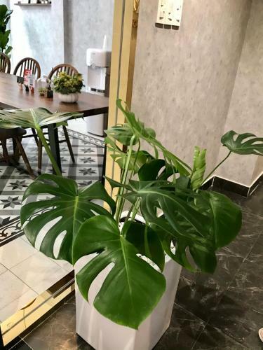 Apartamento Pandora House