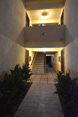 2075 - Terrazas C8