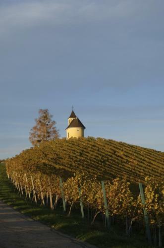 Lodge Winzer Appartements & H�user Kogler