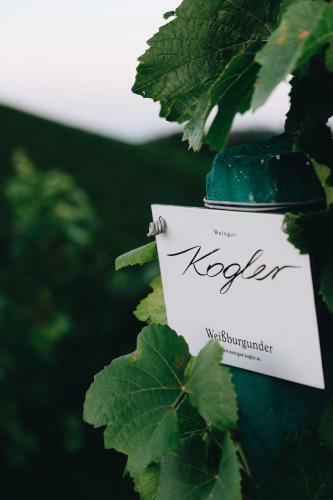 Lodge Winzer Appartements & H�user Kogler