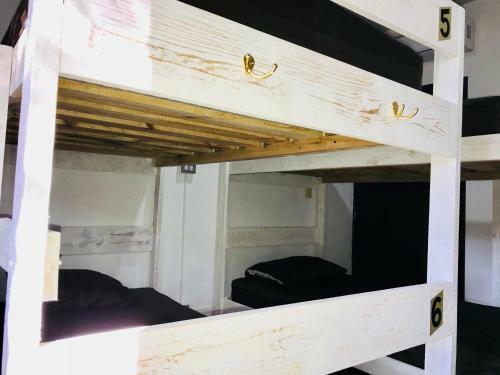 Hostal Bunk Bed In Female Dormitory Room
