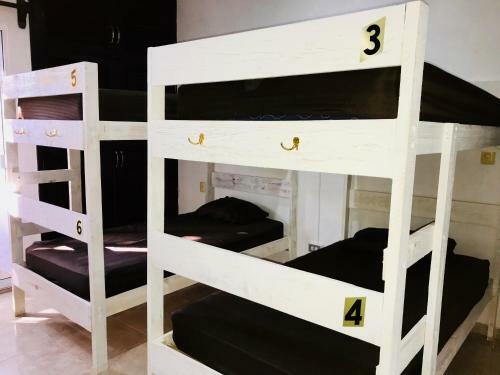 Hostal Bunk Bed In Male Dormitory Room