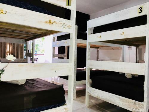 Hostal Bunk Bed In Male Dormitory Room