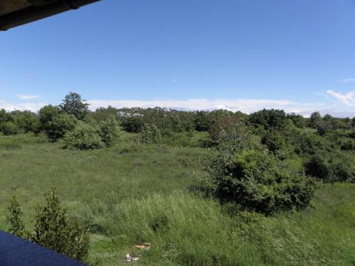 Studio Apartment In Medulin With Terrace, Air Conditioning, Washing Machine (213-4)