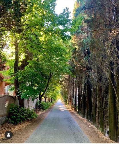 Apartamento Villa I Tigli Appartamenti