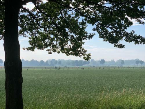 Bed & Breakfast Het Gouden Hert