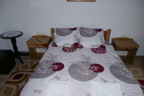 Hostal Pensiunea Vraja
