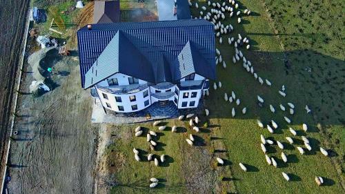 Hostal Pensiunea Vraja