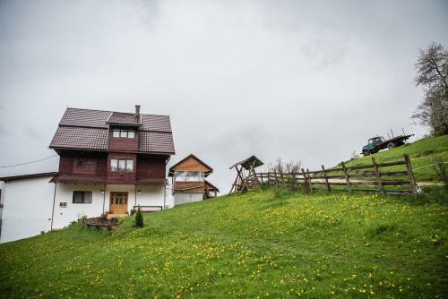 Hostal Pensiunea Amalia