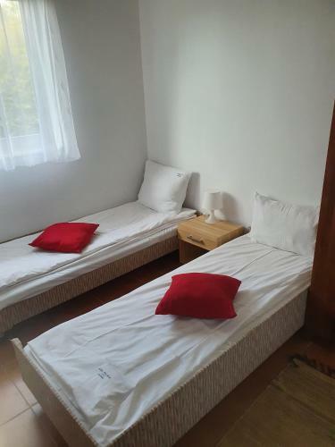 Dziwn�wek Domki Nad Zalewem