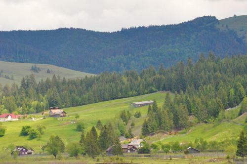 Villa Black Valley House