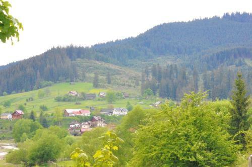 Villa Black Valley House