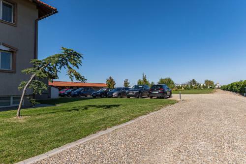 Hotel Stejarii Resort