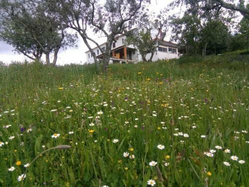 House In Quiet Rural Village With Amazing Views