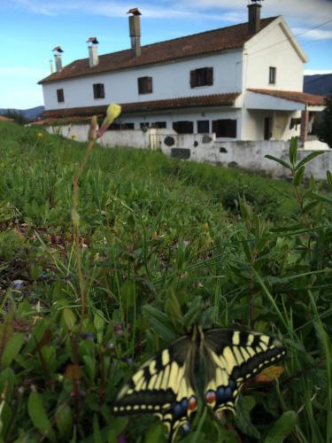 House In Quiet Rural Village With Amazing Views