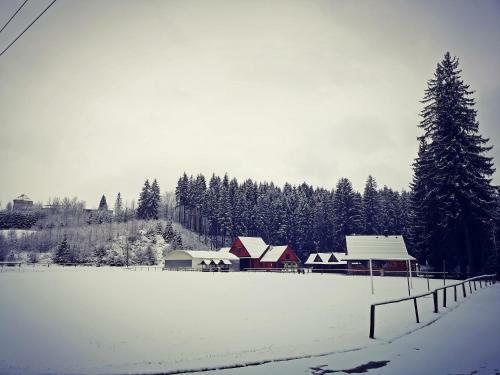 Bed & Breakfast Czarna Owca