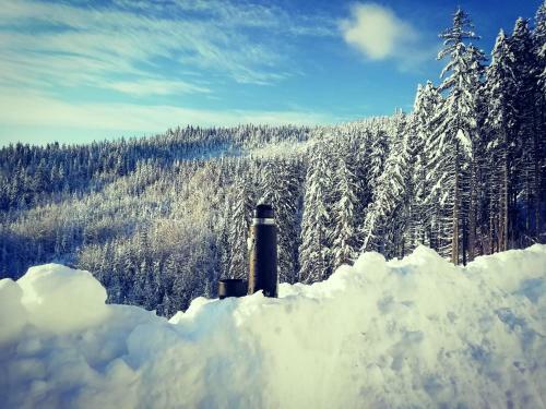 Bed & Breakfast Czarna Owca