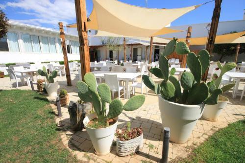 Hostal Pensione Solaris