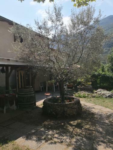 Agroturismo La Mandra