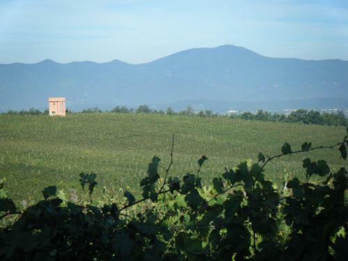 Apartamento Fattoria Santa Lucia Le Tagliate