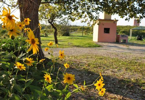 Apartamento Fattoria Santa Lucia Le Tagliate