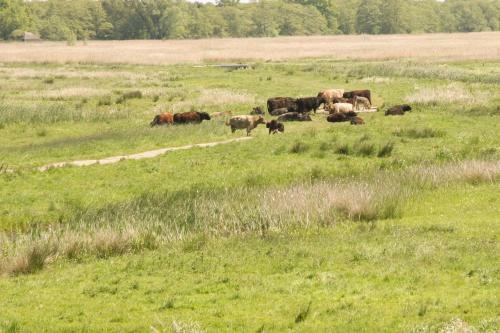 Bed & Breakfast Boerenhofstede De Overhorn