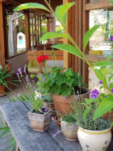 Hostal Sommer Panzi�