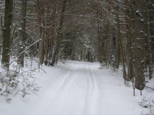 Golden Pathways Retreat B&B