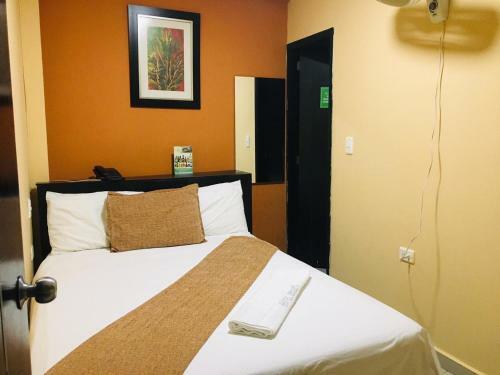 Hotel Ecosuite