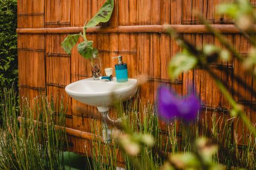 Cerro Tusa Glamping