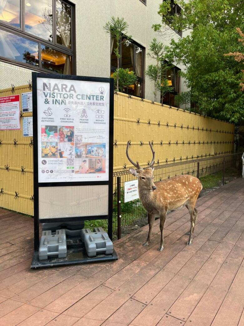 Hotel Nara Visitor Center And Inn