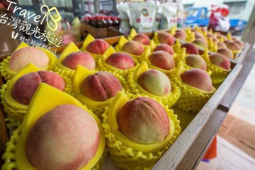 Nantou Fruit House
